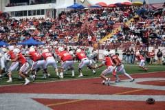burros-blancos-linces-uvm-2026-mayor-onefa-141