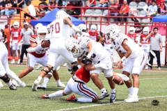 burros-blancos-linces-uvm-2026-mayor-onefa-38