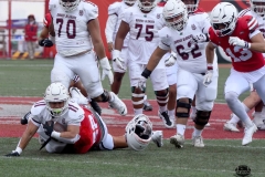 burros-blancos-linces-uvm-2026-mayor-onefa-54