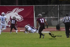 onefa-burros-blancos-borregos-mty-2022-12