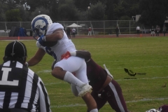 onefa-burros-blancos-borregos-mty-2022-19