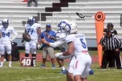 onefa-burros-blancos-borregos-mty-2022-2