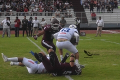 onefa-burros-blancos-borregos-mty-2022-21