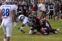 onefa-burros-blancos-borregos-mty-2022-24