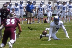 onefa-burros-blancos-borregos-mty-2022-3