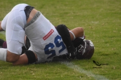 onefa-burros-blancos-borregos-mty-2022-30