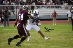 onefa-burros-blancos-borregos-mty-2022-33