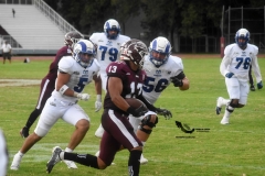 onefa-burros-blancos-borregos-mty-2022-35