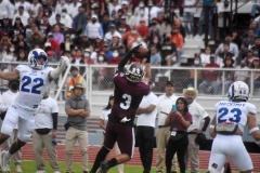 onefa-burros-blancos-borregos-mty-2022-38