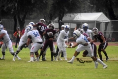 onefa-burros-blancos-borregos-mty-2022-80