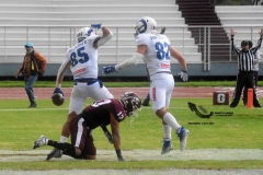 onefa-burros-blancos-borregos-mty-2022-87