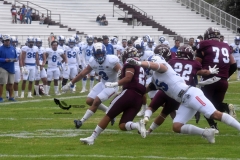 onefa-burros-blancos-borregos-mty-2022-9