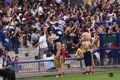 pumas-cu-burros-blancos-onefa-2026-clasico-liga-mayor-102