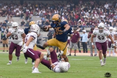 pumas-cu-burros-blancos-onefa-2026-clasico-liga-mayor-115