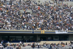 pumas-cu-burros-blancos-onefa-2026-clasico-liga-mayor-130