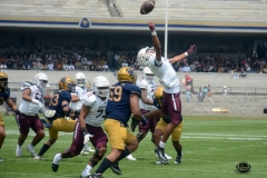 pumas-cu-burros-blancos-onefa-2026-clasico-liga-mayor-157