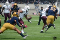 pumas-cu-burros-blancos-onefa-2026-clasico-liga-mayor-158