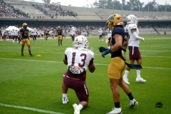 pumas-cu-burros-blancos-onefa-2026-clasico-liga-mayor-170