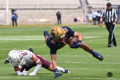 pumas-cu-burros-blancos-onefa-2026-clasico-liga-mayor-19