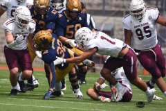 pumas-cu-burros-blancos-onefa-2026-clasico-liga-mayor-3