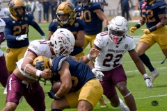 pumas-cu-burros-blancos-onefa-2026-clasico-liga-mayor-30