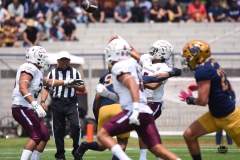 pumas-cu-burros-blancos-onefa-2026-clasico-liga-mayor-51