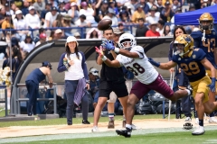 pumas-cu-burros-blancos-onefa-2026-clasico-liga-mayor-52