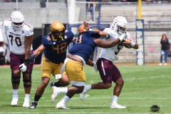 pumas-cu-burros-blancos-onefa-2026-clasico-liga-mayor-54