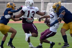 pumas-cu-burros-blancos-onefa-2026-clasico-liga-mayor-6