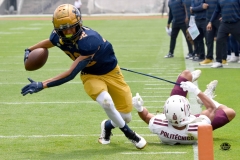 pumas-cu-burros-blancos-onefa-2026-clasico-liga-mayor-75