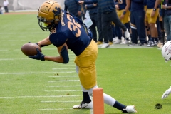 pumas-cu-burros-blancos-onefa-2026-clasico-liga-mayor-76