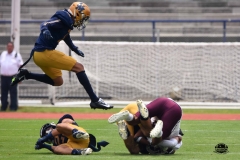 pumas-cu-burros-blancos-onefa-2026-clasico-liga-mayor-82