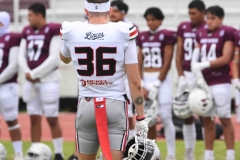 burros-blancos-linces-uvm-onefa-2025-10