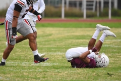 burros-blancos-linces-uvm-onefa-2025-101
