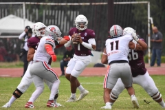 burros-blancos-linces-uvm-onefa-2025-103