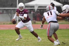 burros-blancos-linces-uvm-onefa-2025-104