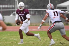 burros-blancos-linces-uvm-onefa-2025-105