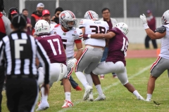 burros-blancos-linces-uvm-onefa-2025-108