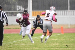 burros-blancos-linces-uvm-onefa-2025-116
