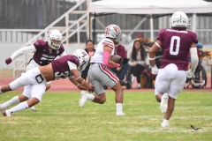 burros-blancos-linces-uvm-onefa-2025-117