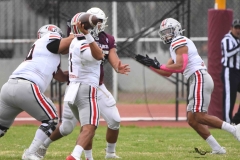 burros-blancos-linces-uvm-onefa-2025-118