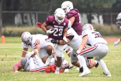 burros-blancos-linces-uvm-onefa-2025-144