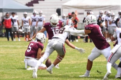 burros-blancos-linces-uvm-onefa-2025-149