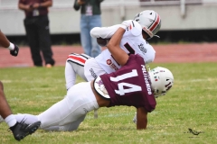 burros-blancos-linces-uvm-onefa-2025-15