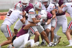 burros-blancos-linces-uvm-onefa-2025-150