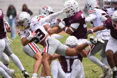 burros-blancos-linces-uvm-onefa-2025-151