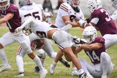burros-blancos-linces-uvm-onefa-2025-152