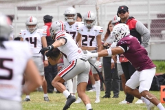 burros-blancos-linces-uvm-onefa-2025-154