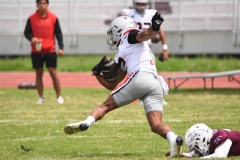 burros-blancos-linces-uvm-onefa-2025-155