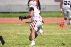 burros-blancos-linces-uvm-onefa-2025-156